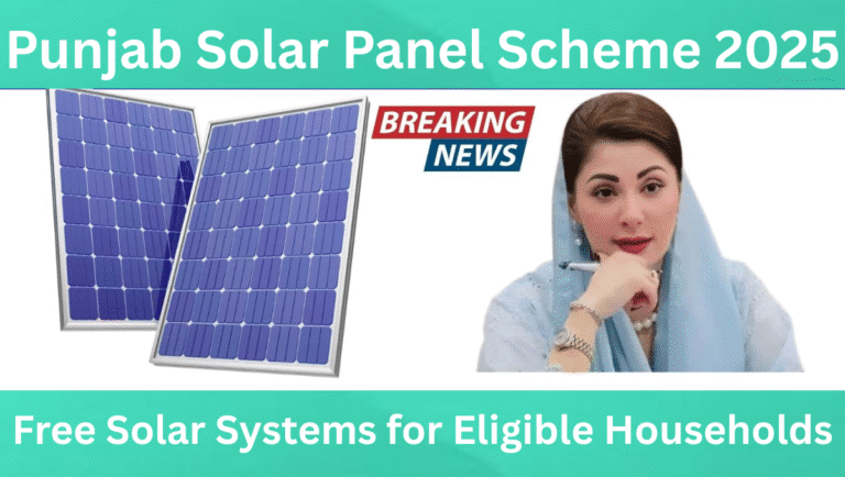 Punjab Solar Panel Scheme 2025