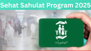 Read more about the article Sehat Sahulat Program 2025 – Free Health Insurance for Deserving Families in Pakistan